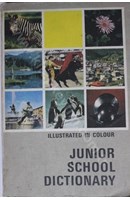 Junior School Dictionary | Kitap Keyfim